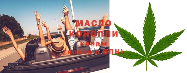 индика Вяземский