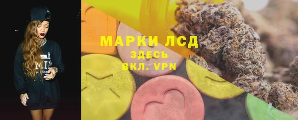 индика Вяземский