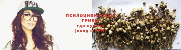 мдпв Вязьма