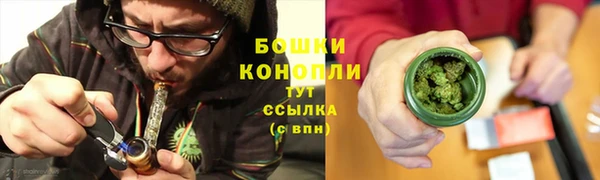 индика Верхний Тагил