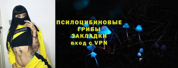 ГАЛЛЮЦИНОГЕННЫЕ ГРИБЫ Верхнеуральск
