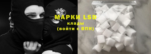 индика Верхний Тагил