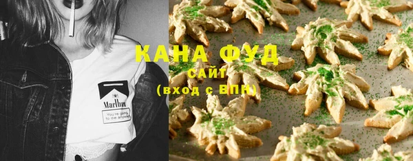 мдпв Вязьма