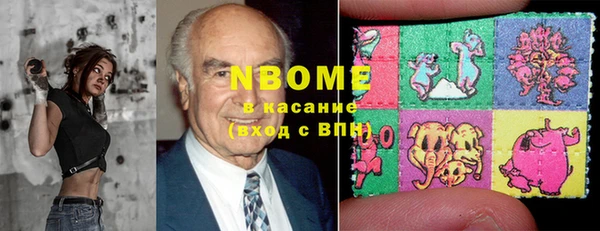 индика Вяземский