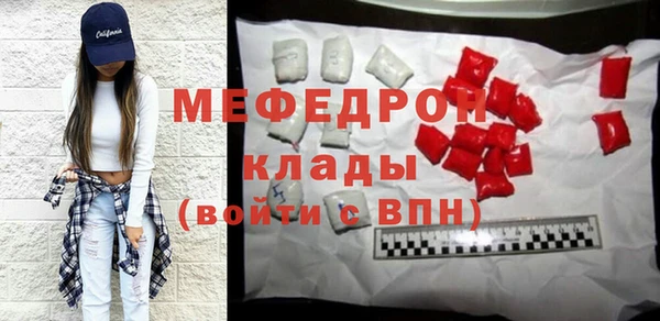 индика Вяземский