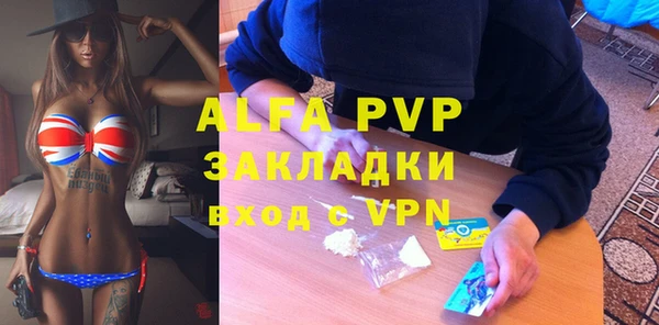 индика Верхний Тагил